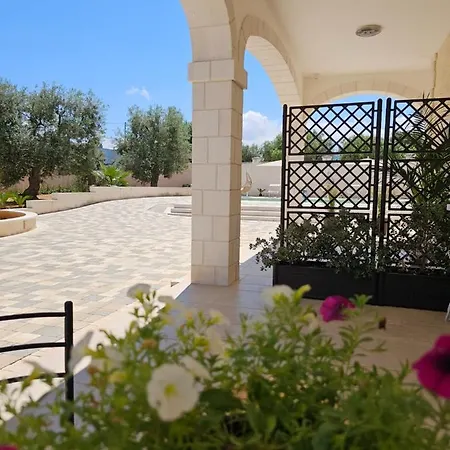 White Stone * 파사노